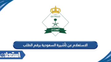 الاستعلام عن تأشيرة السعودية برقم الطلب