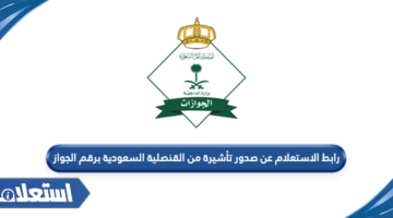رابط الاستعلام عن صدور تأشيرة من القنصلية السعودية برقم الجواز